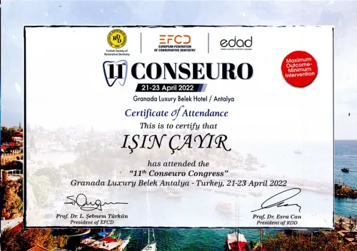 Certificate 3